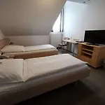 Roemerhof Hotel 3*